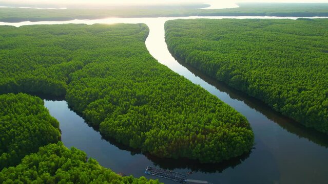Discover the breathtaking beauty of Thailand's mangrove forest and meandering river from above with our 4K drone footage. natural green background. nature and ecosystem concept. Birds eye view
