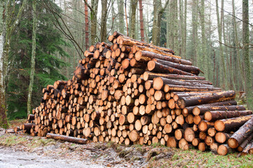 Chopped wood logs for sale with small snow covering during the winter