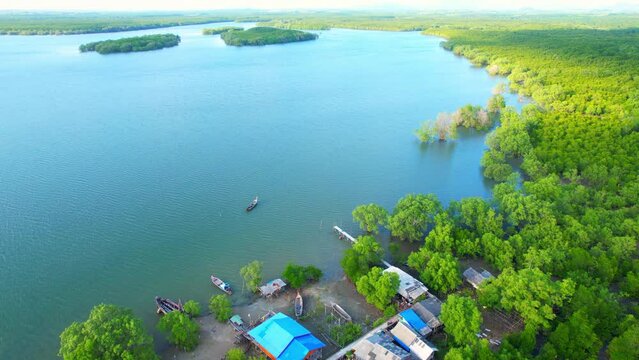 Drone is flying over a mangrove forest island and a fishing village at the mouth of the bay. aerial view. Tropical in Thailand. nature and travel concept. Perfect Nature stock footage. 4K UHD

