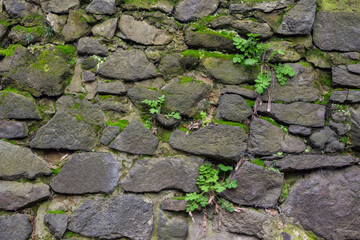 texture of stone wall. grunge background with moss