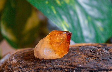 Citrine quartz mineral on garden background
