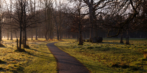 The Golden Morning Sunrise Winding Path through Trees in the Phoenix Park in Dublin, Ireland