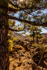 Paisaje en el Parque Nacional del Teide.