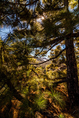 Paisaje en el Parque Nacional del Teide.