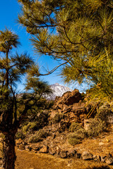 Paisaje en el Parque Nacional del Teide.