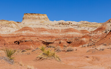 Fototapeta premium Scenic Landscape of the Grand Staircase-Escalante National Monument Utah
