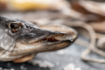 Salted dried pike. Fish appetizer for beer