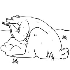 Pensive bear crazy line