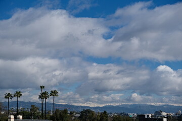 Fototapeta premium cloudy sky and horizon with mountain range and tree lines