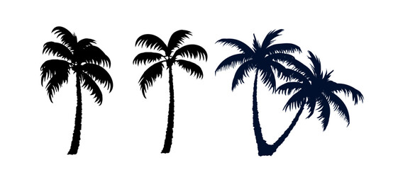 Fototapeta na wymiar set of black silhouettes of a palm tree, silhouette of a palm tree isolated