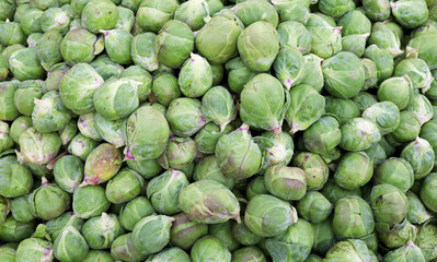 organic and fresh Brussels sprouts on the market counter
