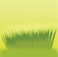 Obraz na płótnie Canvas Green grass border realistic design