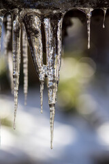 Naklejka na ściany i meble Huge ice icicles. Blue ice background. Ice stalactites on a branch in winter.