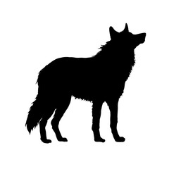  silhouette of wolf black and white