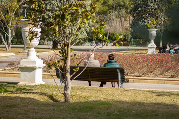 adult couple sitting on a bench in the park