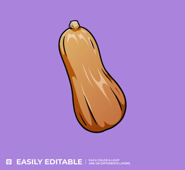 Courge Butternut Illustration Vecteur