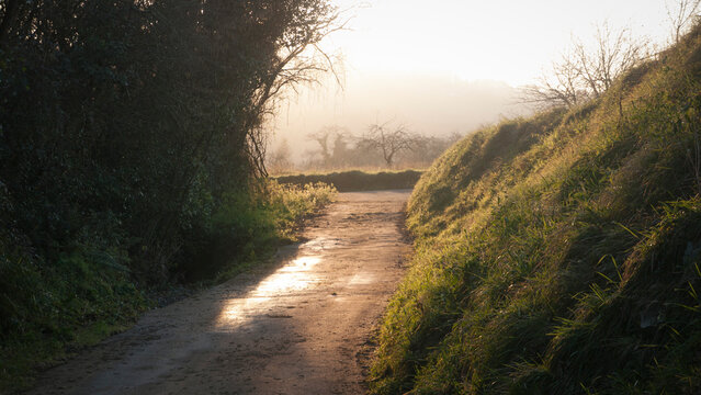 Camino en zona rural de praderas de hierba en Asturias