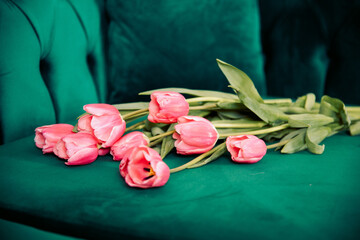 pink tulips on an emerald background. March 8, gift 