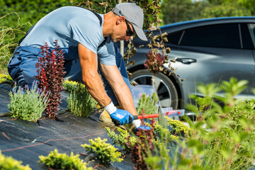 Gardening Professional Installing Drip Irrigation System