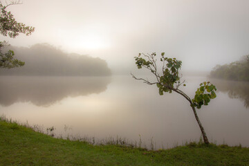 Fototapeta premium Magic Sunrise in Brazilian Savannah With Fog