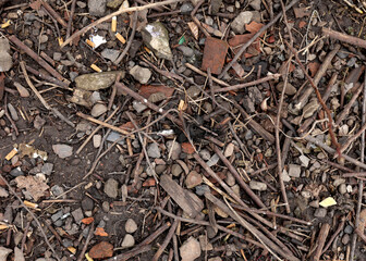 Earth background. Top view, ground texture. soil background