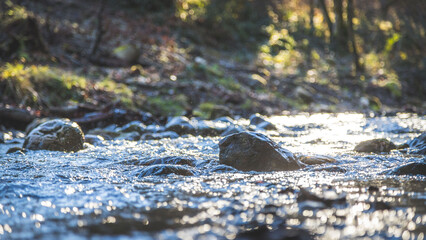 River and wood landscape. Smooth river and stones, sunshine. Concept for palliative and goodbye.