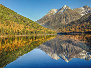 Beautiful Reflections of Fall Foliage and snow-capped peaks  under a blue sky in Kintla Lake, Glacier National Park