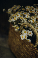 flower on a fabric