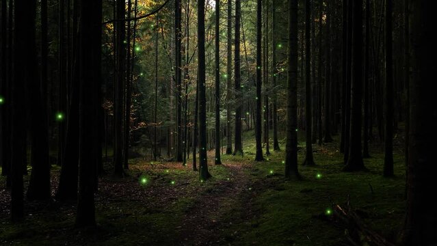 Fairy tale green dark mossy woodland with footpath and fireflies.