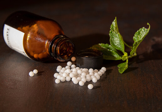 The Science of Homeopathy