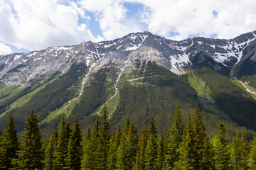 mountain in the Canadian Rockies