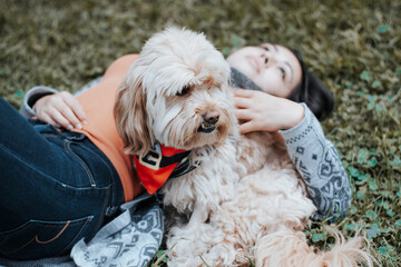 The dog is next to his mom lying in the park. A dog looks into the distance.