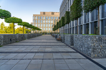 Perspective view of paved path with modern wooden benches in front of gabion tree tubs made of wire...