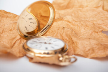 Pocket gold watch and dry beige leaves.