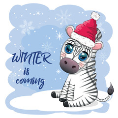 Greeting card with cute zebra in santa hat with christmas ball, candy kane, gift. Wildlife holidays cartoon character.