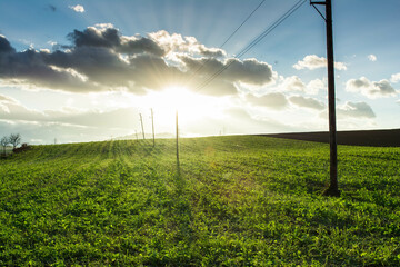 sunset over the field