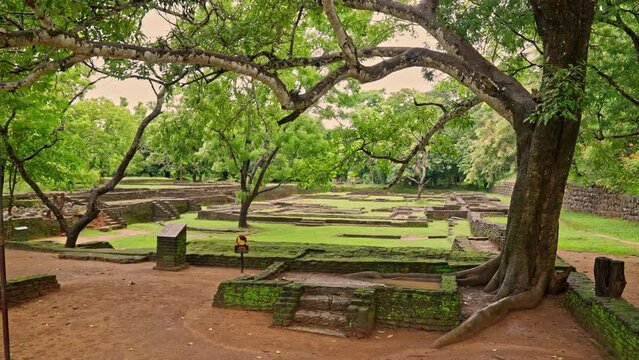 Lush landscape of the Royal Gardens and Pools, part of Lion Rock Sigiriya, Sri Lanka