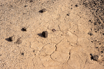 Dry soil with stones, Fuerteventura, Spain