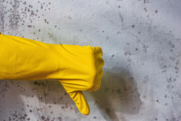Concept of the problem of mold indoors and cleaning the walls from spots of toxic mold and fungus...