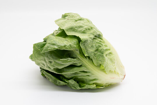 Little Gem lettuce isolated on white background