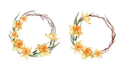 Narcissus flowers in a floral watercolor wreath on a white background. Set of round frames with free space for text - obrazy, fototapety, plakaty
