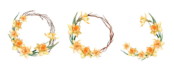 Narcissus flowers in a floral watercolor wreath on a white background. Set of round frames with free space for text