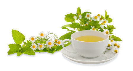 Chamomile cup with flowers and lemon balm