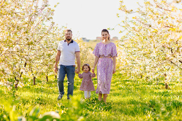 Fototapeta premium mom and dad with little daughter have fun and walk in a blooming spring garden. 