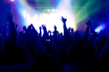 Fototapeta na wymiar crowd of people dancing at concert