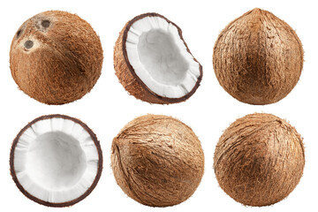 coconut, isolated on white background, full depth of field - obrazy, fototapety, plakaty
