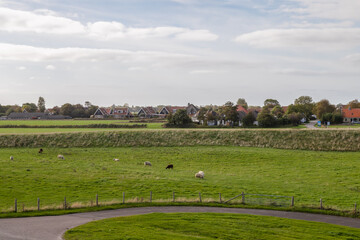 Fototapeta na wymiar Neighborhood Oost east of the village of Oosterend on the island of Texel.