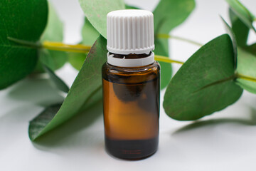 Eucalyptus essential oil in a glass bottle surrounded by eucalyptus leaves