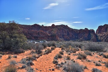 Snow Canyon State Park Red Sands hiking trail  Cliffs National Conservation Area Wilderness St George, Utah, United States.