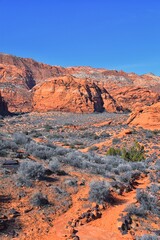 Snow Canyon State Park Red Sands hiking trail  Cliffs National Conservation Area Wilderness St George, Utah, United States.